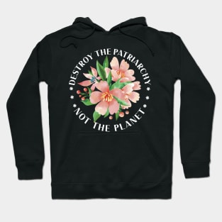 Feminism Destroy Patriarchy Not The Planet Statement Hoodie